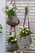 KEUKENHOF GARDENS, HOLLAND: THE NETHERLANDS - RECYCLING GARDEN - OLD SATCHELS PLANTED WITH NARCISSI AND TULIPS - NARCISSUS, CONTAINER, REUSED, RECYCLING, UPCYCLED, TRELLIS