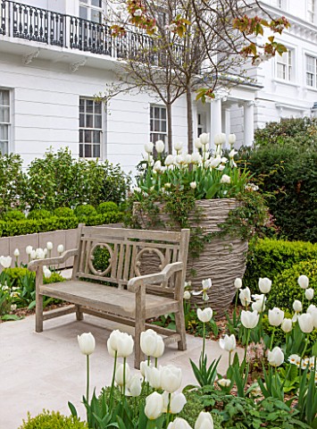 DESIGNER_STEPHEN_WOODHAMS_LONDON_FORMAL_TOWN_GARDEN_IN_SPRING_CONTAINER_AND_WOODEN_BENCH__SEAT_WHITE