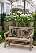 DESIGNER STEPHEN WOODHAMS, LONDON: FORMAL TOWN GARDEN IN SPRING -CONTAINERS AND WOODEN BENCH / SEAT, WHITE PLANTING OF TULIP PURISSIMA, TULIP CARDINAL MINDSZNTY, TULIP CLEARWATER