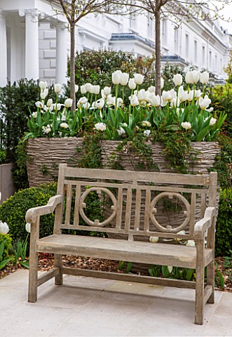 DESIGNER_STEPHEN_WOODHAMS_LONDON_FORMAL_TOWN_GARDEN_IN_SPRING_CONTAINERS_AND_WOODEN_BENCH__SEAT_WHIT