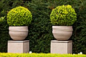 DESIGNER STEPHEN WOODHAMS, LONDON: FORMAL TOWN GARDEN - FRONT GARDEN IN SPRING. YEW HEDGE AND PEDESTALS WITH CONTAINERS OF CLIPPED TOPIARY BOX - BUXUS, TAXUS