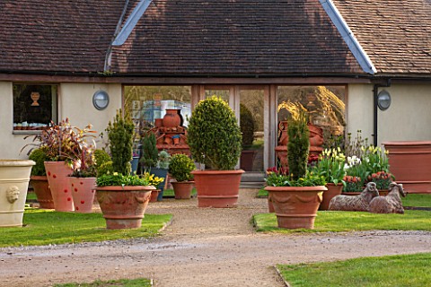 WHICHFORD_POTTERY_WARWICKSHIRE_TERRACOTTA_CONTAINERS_PLANTED_WITH_TULIPS_IN_FRONT_OF_THE_SHOP