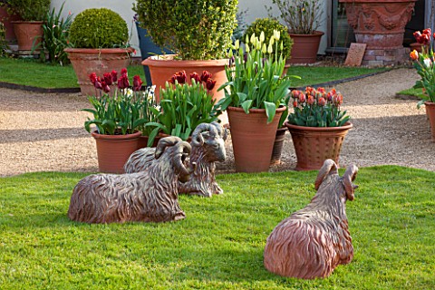 WHICHFORD_POTTERY_WARWICKSHIRE_LAWN_WITH_TERRACOTTA_SHEEP_MADE_BY_JIM_KEELING_AND_FIRED_AT_THE_ANAGA