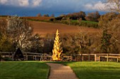 WHICHFORD POTTERY, WARWICKSHIRE: EVENING LIGHT SHINES ON JIM KEELINGS GOLDEN CYPRESS CERAMIC SCULPTURE WITH GOLD LEAF - ORNAMENT, DECORATION, DECORATIVE