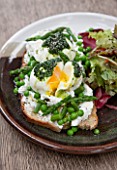 WHICHFORD POTTERY, WARWICKSHIRE: BRUSCHETTA  - ASPARAGUS, PEA, MINT, TARRAGON, RICOTTA, LOCAL POACHED EGGS, WILD GARLIC DRIZZLE - SERVED ON WHICHFORD POTTERY PLATE IN THE CAFE