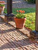 ULTING WICK, ESSEX: BRICK PAVING WITH TERRACOTTA CONTAINER PLANTED WITH TULIP - TULIPA PRINSES IRENE IN SPRING. APRIL, BULBS, ORANGE