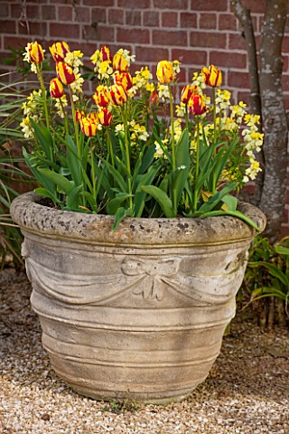 BROUGHTON_GRANGE_OXFORDSHIRE_TERRACOTTA_CONTAINER_IN_THE_WALLED_GARDEN_PLANTED_WITH_WALLFLOWER_TREAS