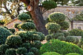 LA JEG, PROVENCE, FRANCE: DESIGNER ANTHONY PAUL - CLIPPED TOPIARY. GREEN, CLOUD PRUNED, PRUNING