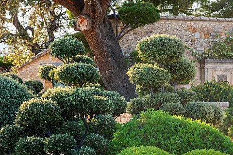 LA_JEG_PROVENCE_FRANCE_DESIGNER_ANTHONY_PAUL__CLIPPED_TOPIARY_GREEN_CLOUD_PRUNED_PRUNING