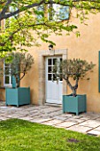 LA JEG, PROVENCE, FRANCE: DESIGNER ANTHONY PAUL - COURTYARD, HOUSE, LAWN, PAVING, STONE, PATH, VERSAILLES CONTAINER, OLIVE, TREES, SPRING, MEDITERRANEAN
