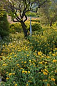 LA JEG, PROVENCE, FRANCE: WILD GARDEN WITH YELLOW FLOWERS OF PHLOMIS FRUTICOSA IN SPRING WITH SCULPTURE - MENHIR GERMANT BY PHILIPPE ONGENA