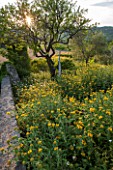 LA JEG, PROVENCE, FRANCE: WILD GARDEN - WALL WITH YELLOW FLOWERS OF PHLOMIS FRUTICOSA IN SPRING WITH SCULPTURE - MENHIR GERMANT BY PHILIPPE ONGENA
