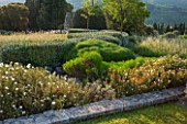 LA JEG, PROVENCE, FRANCE: DESIGNER ANTHONY PAUL - LAWN, CLIPPED PLANTS AND ELEAGNUS HEDGE. HEDGING, HEDGES. MEDITERRANEAN, GARDEN, GREEN, PROVENCE, MAY