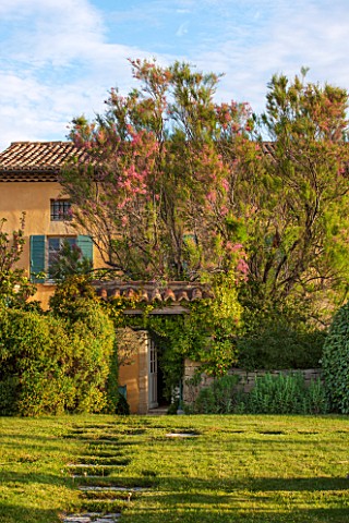 JEG_PROVENCE_FRANCE_DESIGN_ANTHONY_PAUL__THE_HOUSE_WITH_BLUE_SHUTTERS_PINK_FLOWERS_OF_TAMARISK_LAWN_