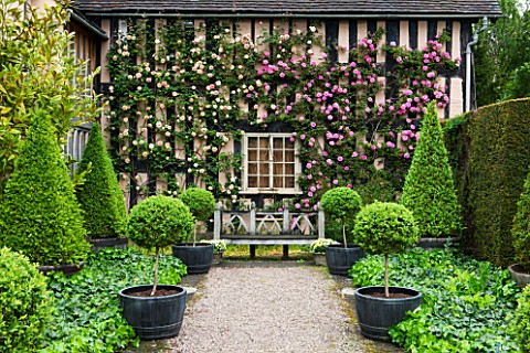 WOLLERTON_OLD_HALL_SHROPSHIRE_GRAVEL_PATH_WOODEN_BENCH_HOUSE_WALL_COVERED_IN_ROSES__ROSA_ZEPHERINE_D