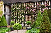 WOLLERTON OLD HALL, SHROPSHIRE: GRAVEL PATH, WOODEN BENCH, HOUSE WALL COVERED IN ROSES - ROSA ZEPHERINE DROUHIN, ROSA GLOIRE DE DIJON - CLIMBING TEA ROSE, TOPIARY, BOX, FORMAL, MAY