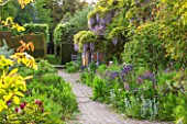 BRYANS GROUND, HEREFORDSHIRE: THE BACK OF THE HOUSE - PATH PAST AQUILEGIAS AND WISTERIA. - COUNTRY GARDEN, TERRACE, JUNE, SUMMER