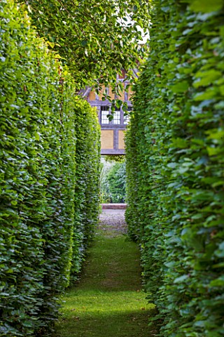 BRYANS_GROUND_HEREFORDSHIRE_PATH_TO_THE_DOVECOTE_THROUGH_HEDGES__GREEN_HEDGING_HEDGE_BUILDING_ARTS_A
