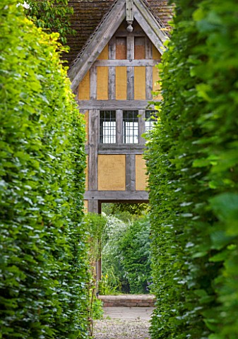 BRYANS_GROUND_HEREFORDSHIRE_PATH_TO_THE_DOVECOTE_THROUGH_HEDGES__GREEN_HEDGING_HEDGE_BUILDING_ARTS_A