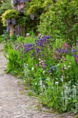 BRYANS GROUND, HEREFORDSHIRE: THE TERRACE BEHIND THE HOUSE WITH BORDER OF AQUILEGIAS, STACHYS AND FENNEL - PATIO, COUNTRY GARDEN, SPRING, MAY, PINK, BLUE, FLOWERS