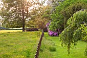 BRYANS GROUND, HEREFORDSHIRE: LAWN AND RHODODENDRON BESIDE WILDFLOWER MEADOW AND METAL FENCE - FENCING, COUNTRY GARDEN, MAY, ENGLISH