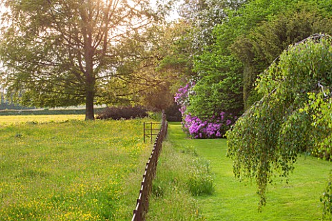 BRYANS_GROUND_HEREFORDSHIRE_LAWN_AND_RHODODENDRON_BESIDE_WILDFLOWER_MEADOW_AND_METAL_FENCE__FENCING_