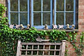 BRYANS GROUND, HEREFORDSHIRE: BLUE WOODEN WINDOW WITH ORNAMENTS - GARDEN ORNAMENT, FENCETOPS, DECORATION, DECORATIVE, COUNTRY, GARDEN