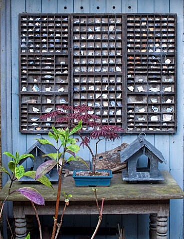 BRYANS_GROUND_HEREFORDSHIRE_BLUE_WALL_WITH_WOODEN_TABLE_SLATE_BIRD_BOXES_AND_PORCELAIN_FRAGMENTS_IN_