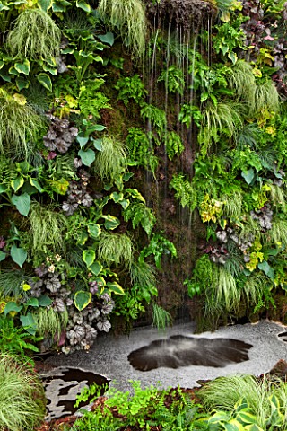 HOPE_SHARP_STORY_CHELSEA_2016_BOWDEN_STAND__LIVING_WALL__WATERFALL_AND_PLANTING_OF_HOSTAS__VERTICAL_