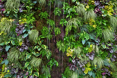 HOPE_SHARP_STORY_CHELSEA_2016_BOWDEN_STAND__LIVING_WALL__WATERFALL_AND_PLANTING_OF_HOSTAS__VERTICAL_