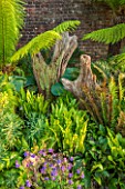 ARUNDEL CASTLE GARDENS, WEST SUSSEX: THE STUMPERY  WITH FERNS - SUMMER, TREE, TRUNK, SHADE, SHAFY, TREES, TRUNKS, TREE FERN, DICKSONIA ANTARCTICA
