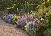 ARUNDEL CASTLE GARDENS, WEST SUSSEX: GRAVEL PATH, YEW HEDGES, NEPETA SIX HILLS GIANT AND ALLIUMS - BULB, BULBS, FLOWERS, ENGLISH GARDEN, BORDER, BORDERS, HEDGE, HEDGING