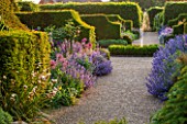 ARUNDEL CASTLE GARDENS, WEST SUSSEX: GRAVEL PATH, YEW HEDGES, NEPETA SIX HILLS GIANT AND ALLIUMS - BULB, BULBS, FLOWERS, ENGLISH GARDEN, FOUNTAIN, BORDER, BORDERS, HEDGE, HEDGING