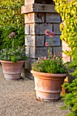 ARUNDEL CASTLE GARDENS, WEST SUSSEX: COLLECTOR EARLS GARDEN DESIGNED BY JULIAN AND ISABEL BANNERMAN. TERRACOTTA CONTAINERS PLANTED WITH ALLIUMS