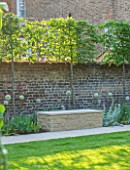 PRIVATE GARDEN LONDON DESIGNED BY LUCY WILLCOX AND ANA SANCHEZ MARTIN: BORDER WITH ALLIUM MOUNT EVEREST, WALL, STONE SEAT / BENCH- TOWN GARDEN, BORDER, FLOWERS, SUMMER