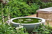 PRIVATE GARDEN LONDON DESIGNED BY LUCY WILLCOX AND ANA SANCHEZ MARTIN: CIRCULAR POOL / POND WITH WATER LILIES. WILDLIFE, WATER, WATER FEATURE, CONTAINER, SUMMER, FOXGLOVES