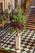 CHATSWORTH HOUSE, DERBYSHIRE: FLORABUNDANCE - THE PAINTED HALL WITH TOWERING FLORAL DISPLAY WITH PEONIES AND ANGELICA ON STONE PLINTH. INTERIOR, GRAND, OPULENT, STAIRCASE