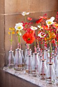 CHATSWORTH HOUSE,DERBYSHIRE:FLORABUNDANCE-A FIELD FULL OF POPPIES.POPPIES AND PRIMULAS IN OLD-FASHIONED SCHOOL MILK BOTTLES PAY HOMAGE TO THE LANDSCAPE CREATED THREE CENTURIES AGO