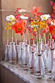 CHATSWORTH HOUSE, DERBYSHIRE:FLORABUNDANCE-A FIELD FULL OF POPPIES.POPPIES AND PRIMULAS IN OLD-FASHIONED SCHOOL MILK BOTTLES PAY HOMAGE TO THE LANDSCAPE CREATED THREE CENTURIES AGO
