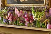 CHATSWORTH HOUSE,DERBYSHIRE:FLORABUNDANCE-THE NORTH ENTRANCE; SHELF-SUMMER FLOWERS PICKED FROM THE GARDEN IN PURPLE/PINK.JARS OF LUPINS,ASTRANTIA,CAMPANULA,DIGITALIS,MINT,MILLET