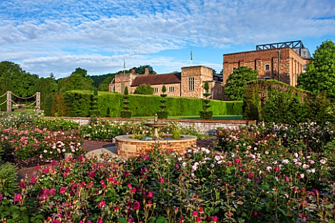 GLYNDEBOURNE_EAST_SUSSEX_THE_NEW_MARY_CHRISTIE_ROSE_GARDEN_AT_DAWN__FORMAL_WATER_FOUNTAIN_ROSES_ENGL