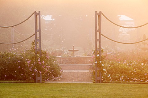 GLYNDEBOURNE_EAST_SUSSEX_THE_NEW_MARY_CHRISTIE_ROSE_GARDEN_AT_DAWN__FORMAL_ROSES_ENGLISH_SUMMER_JUNE