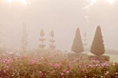 GLYNDEBOURNE, EAST SUSSEX: THE NEW MARY CHRISTIE ROSE GARDEN AT DAWN - FORMAL, ROSES, ENGLISH, SUMMER, JUNE, TOPIARY, YEW, MIST, SWAG, ROPE