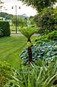 GLYNDEBOURNE, EAST SUSSEX: TREE FERNS AND HOSTAS IN THE EXOTIC BOURNE GARDEN WITH LAWN - GREEN, TROPICAL, DICKSONIA ANTARCTICA