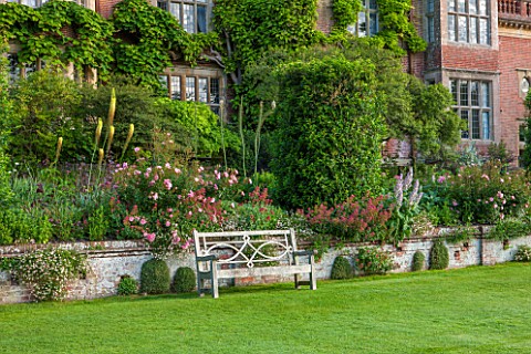 GLYNDEBOURNE_EAST_SUSSEX_THE_DOUBLE_HERBACEOUS_BORDERS_WITH_WHITE_FOXTAIL_LILIES__EREMERUS_SALVIAS_P