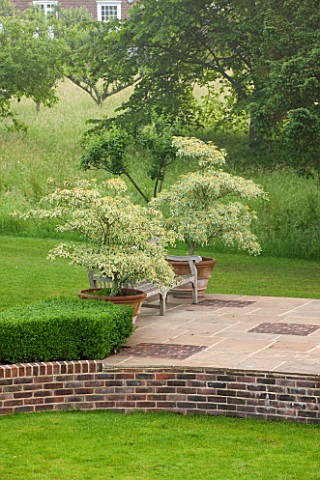 GLYNDEBOURNE_EAST_SUSSEX_TERRACE_BY_LAKE_WITH_TERRACOTTA_CONTAINERS_PLANTED_WITH_CORNUS_ENGLISH_GARD