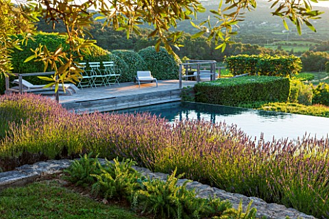 LA_JEG_PROVENCE_FRANCE_DESIGNER_ANTHONY_PAUL__VIEW_OF_LAVENDER__LAVENDULA_GROSSO___AND_SWIMMING_POOL