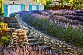 LA JEG, PROVENCE, FRANCE: DESIGNER ANTHONY PAUL - STONE PATH TO HOUSE IN JUNE - ROWS OF PURPLE LAVENDER - LAVENDULA GROSSO. SUMMER, BLUE, SCENT, SCENTED, FRAGRANT, STEPS, WALL
