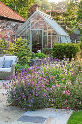 THE_COACH_HOUSE_SURREY_GREENHOUSE_AND_PAVED_SEATING_AREA_WITH_BORDER_OF_ERYSIMUM_BOWLES_MAUVE_CISTUS