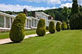 CHATSWORTH HOUSE, DERBYSHIRE:THE CONSERVATIVE WALL,BUILT 1848 BY PAXTON. CONSERVATORY TERRACE,SUMMER-BUILDING, ARCHITECTURE, HERITAGE, FORMAL, CLIPPED, TOPIARY, TAXUS BACCATA AUREA